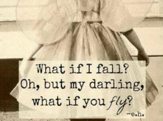 Dare to fly