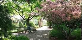 Atlanta Dating Spot: Atlanta Botanical Gardens